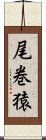 尾巻猿 Scroll