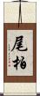 尾柏 Scroll
