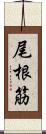 尾根筋 Scroll