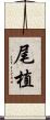 尾植 Scroll