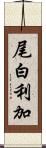 尾白利加 Scroll