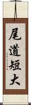 尾道短大 Scroll