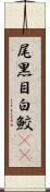 尾黒目白鮫(rK) Scroll
