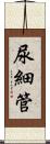 尿細管 Scroll