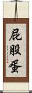 屁股蛋 Scroll