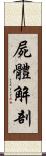 屍體解剖 Scroll