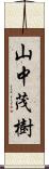山中茂樹 Scroll