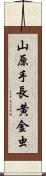 山原手長黄金虫 Scroll