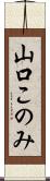 山口このみ Scroll