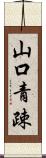 山口青疎 Scroll