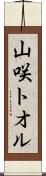 山咲トオル Scroll