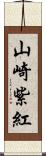 山崎紫紅 Scroll