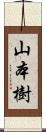 山本樹 Scroll