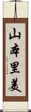 山本里美 Scroll