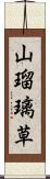 山瑠璃草 Scroll