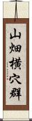 山畑横穴群 Scroll