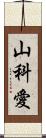 山科愛 Scroll