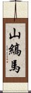 山縞馬 Scroll