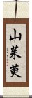 山茱萸 Scroll