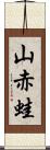 山赤蛙 Scroll