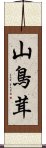 山鳥茸 Scroll