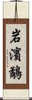 岩濱鷸 Scroll