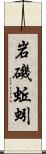 岩磯蚯蚓 Scroll