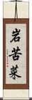 岩苦菜 Scroll