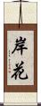 岸花 Scroll