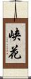 峡花 Scroll