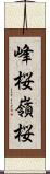 峰桜 Scroll
