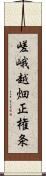 嵯峨越畑正権条 Scroll