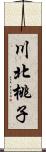 川北桃子 Scroll