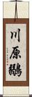 川原鶸 Scroll