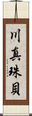 川真珠貝 Scroll