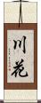 川花 Scroll