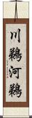 川鵜 Scroll