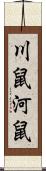 川鼠 Scroll