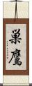 巣鷹 Scroll