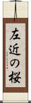 左近の桜 Scroll