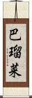 巴瑠菜 Scroll