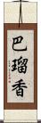 巴瑠香 Scroll