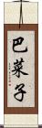 巴菜子 Scroll