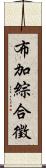 布加綜合徵 Scroll