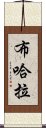 布哈拉 Scroll