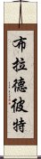 布拉德·彼特 Scroll