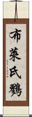 布萊氏鷚 Scroll