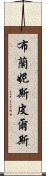 布蘭妮·斯皮爾斯 Scroll