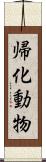 帰化動物 Scroll