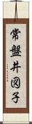 常盤井図子 Scroll